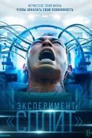 Эксперимент «Сплит»